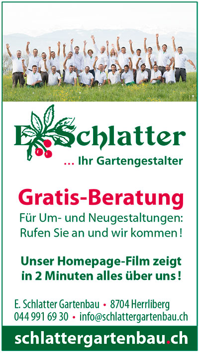 LiveArt, Herrliberg