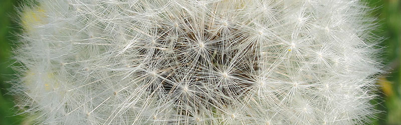 Thumbnail Image 1